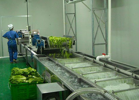 全自动蔬菜果蔬加工流水线